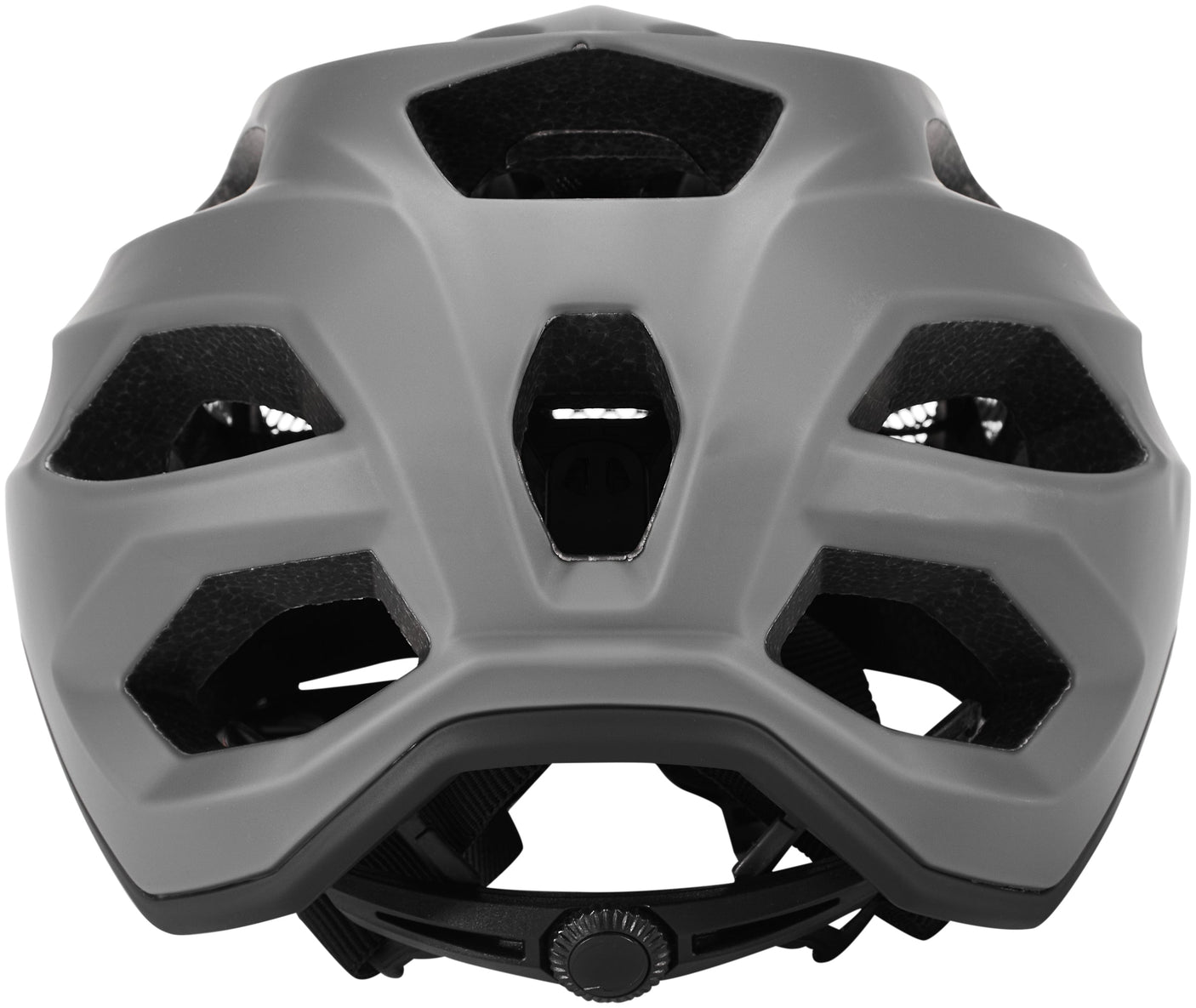 Alpina Carapax 2.0 Helm grau