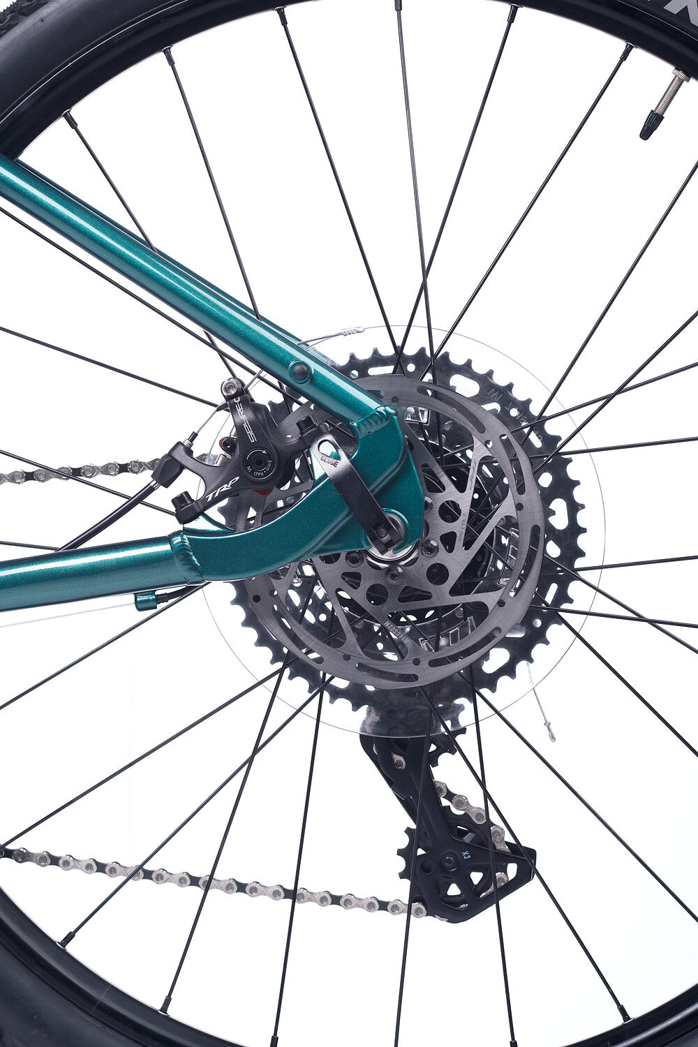 ACADEMY S-grade Gravel 5 24" Forest (2026)