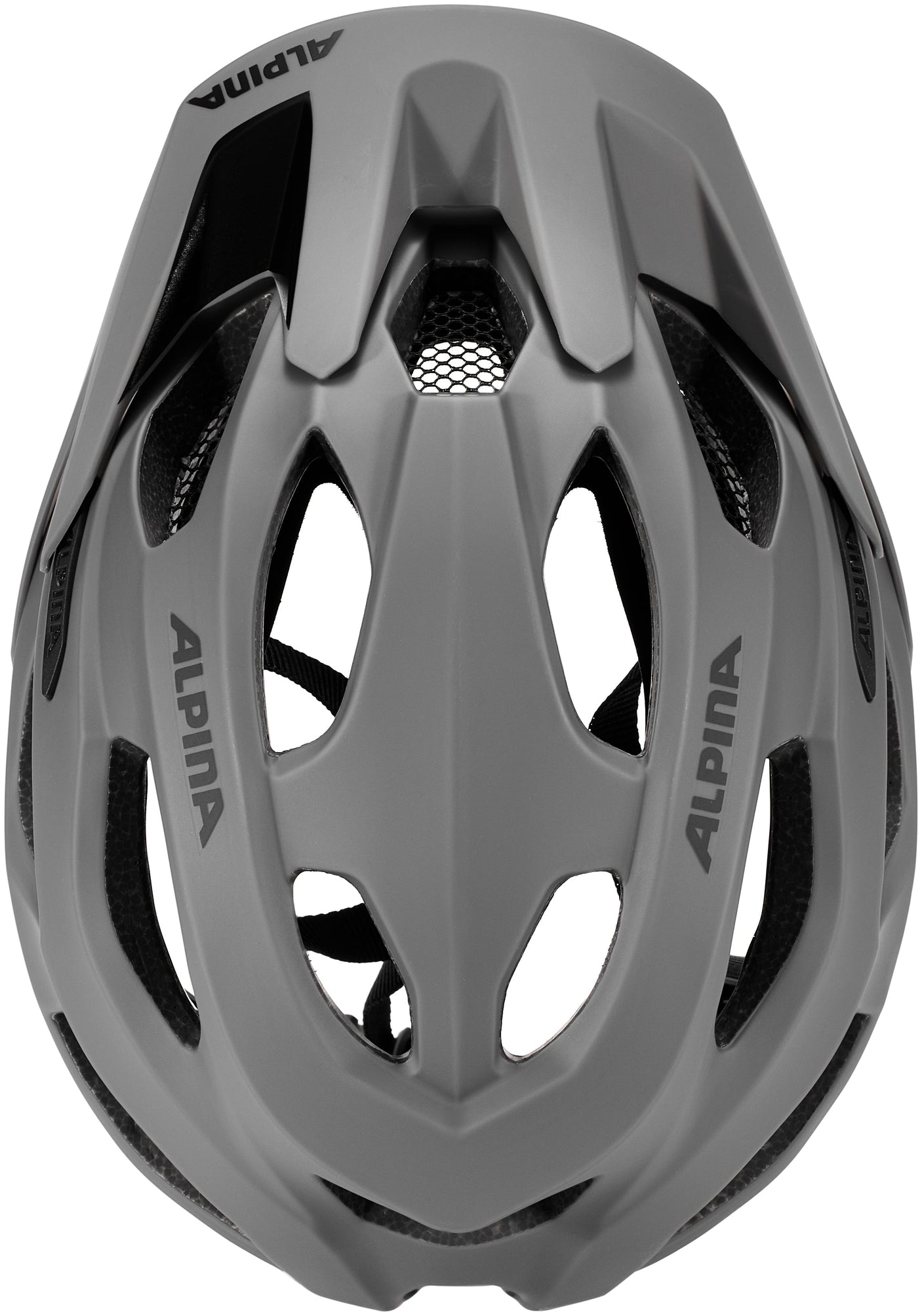 Alpina Carapax 2.0 Helm grau