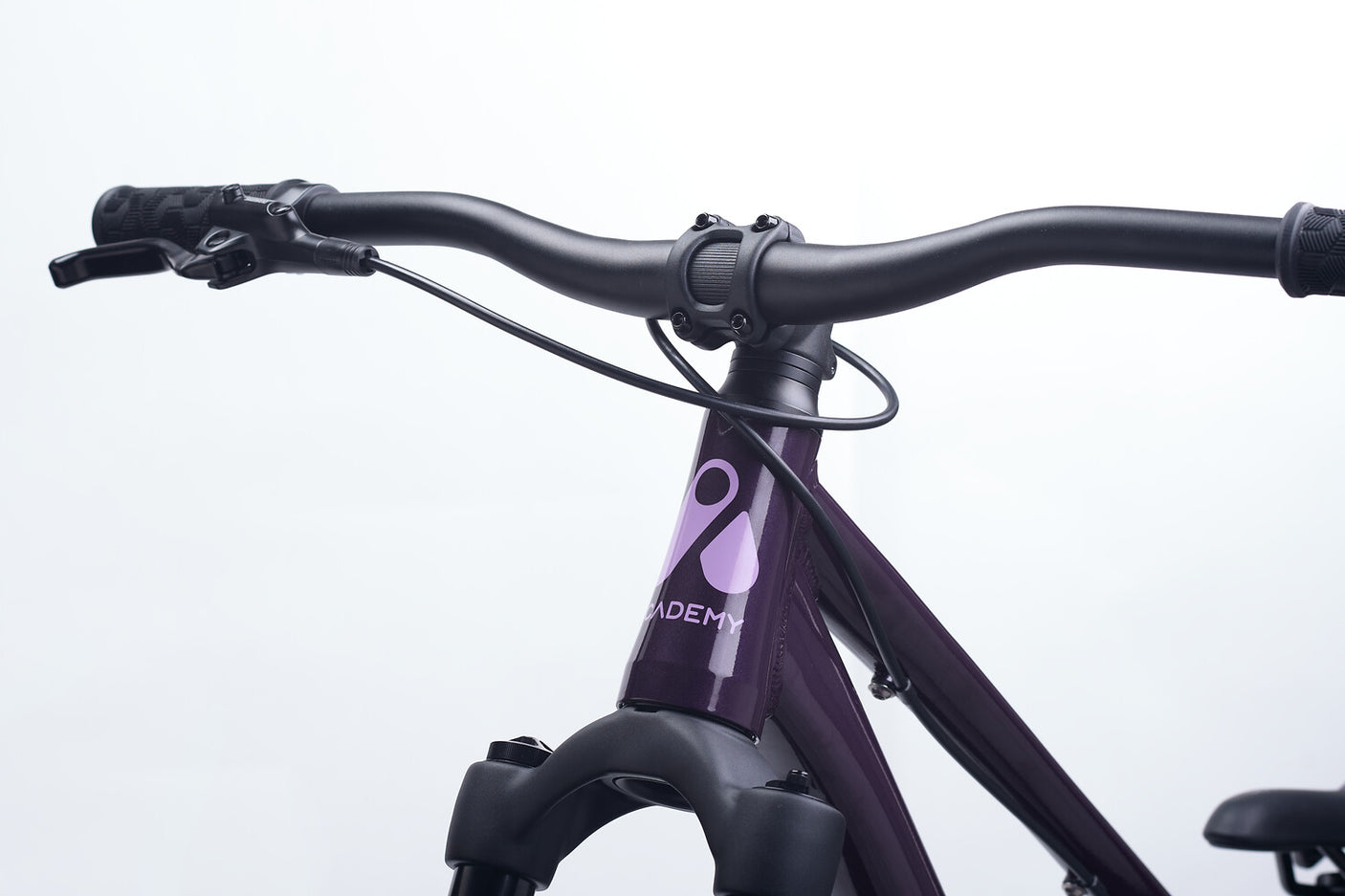 ACADEMY Pump 6 26" Plum (2026)