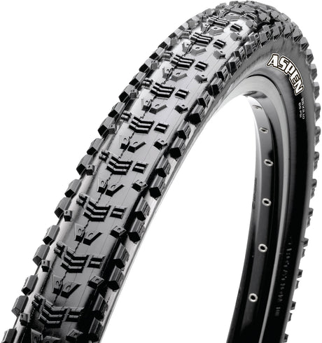 Maxxis Aspen Folding Tyre 29x2.25" Dual EXO TR black