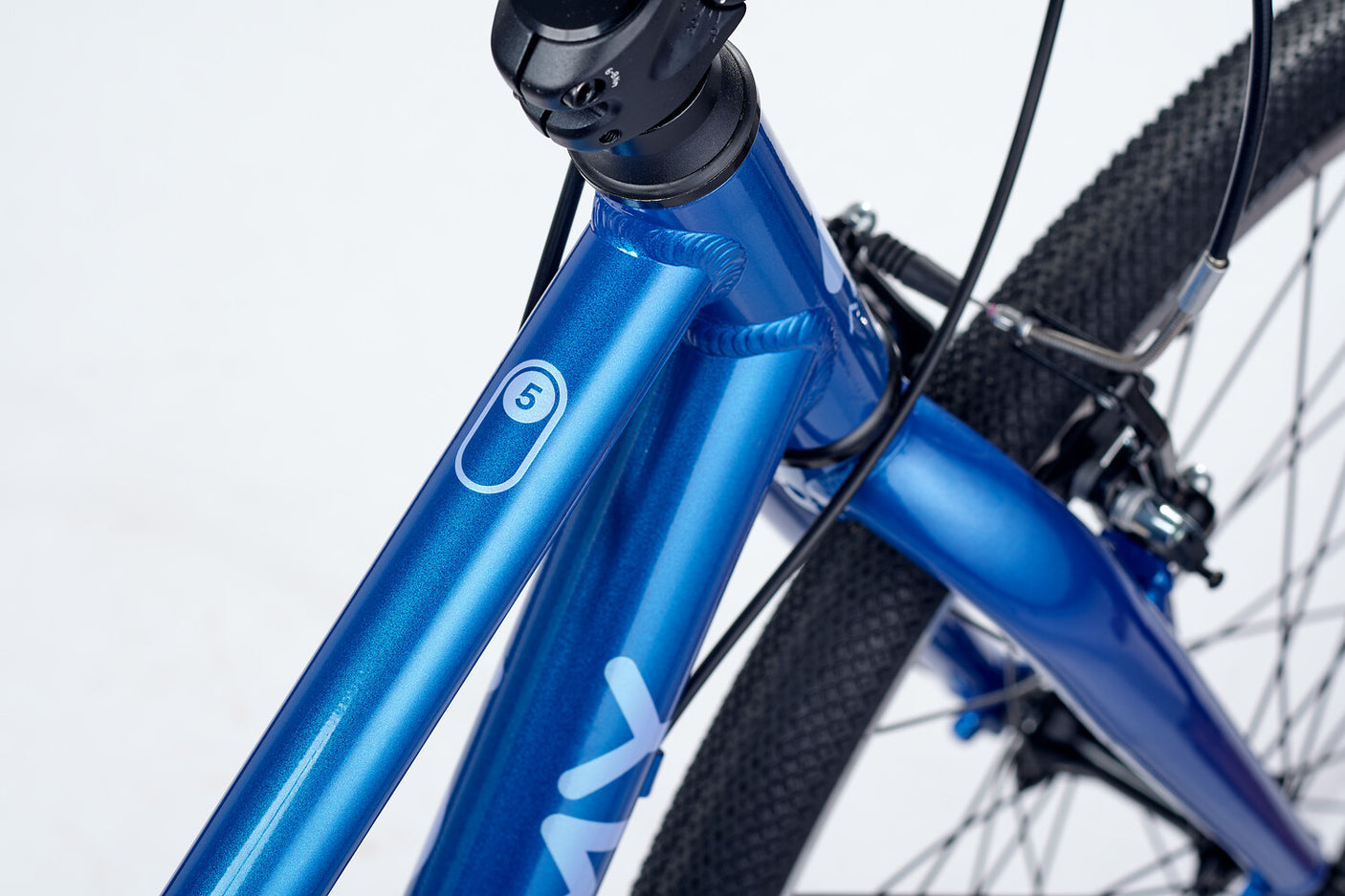 ACADEMY Grade 5 Belt 24" Blue (2026)