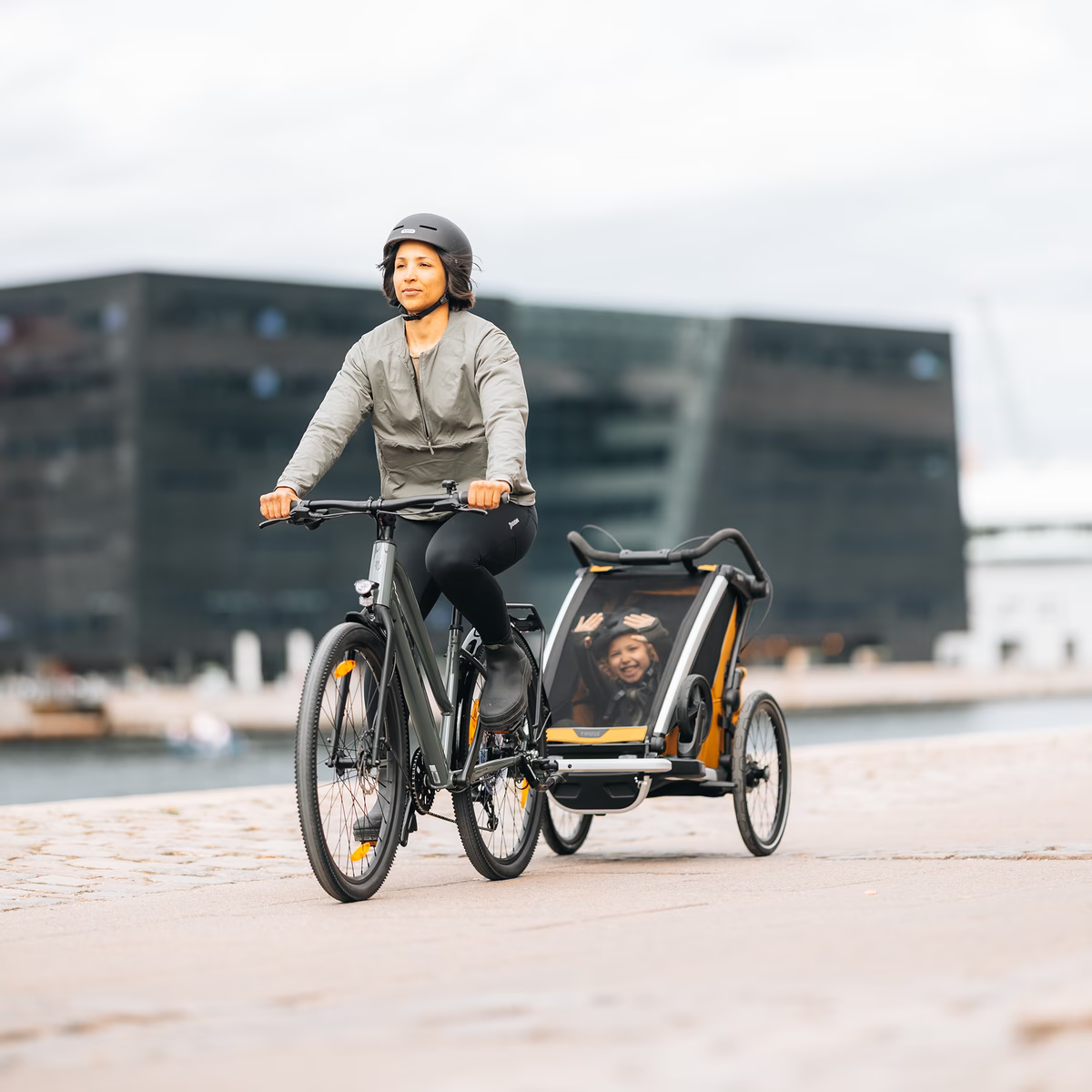 Thule Chariot Sport 2 Single Kinderanhänger natural gold