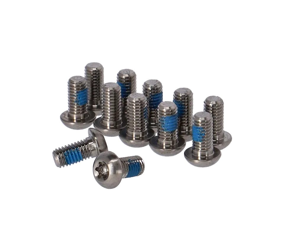 SRAM Titanium T25 Bremsscheiben Schraubenkit 12 Stück silber
