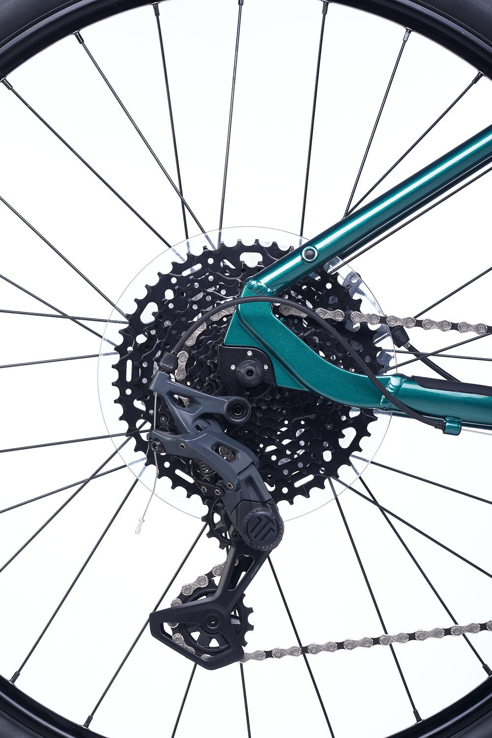 ACADEMY S-grade Gravel 5 24" Forest (2026)