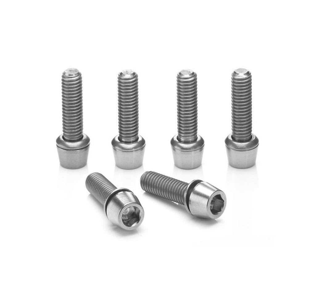 Ritchey WCS 4Axis Vorbauschrauben Edelstahl 6 Stück silber