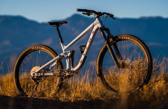 Mountainbike Kategorie - Teaser