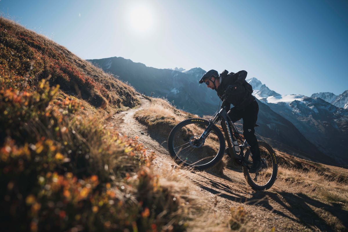 Orbea Bikes