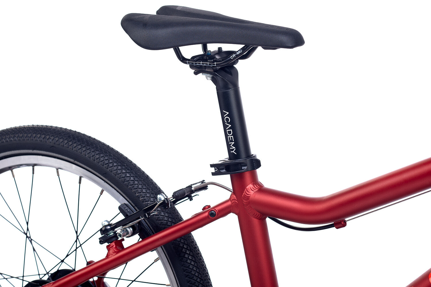 ACADEMY Grade 4 Belt 20