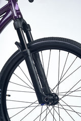 ACADEMY Pump 6 26" Plum (2026)