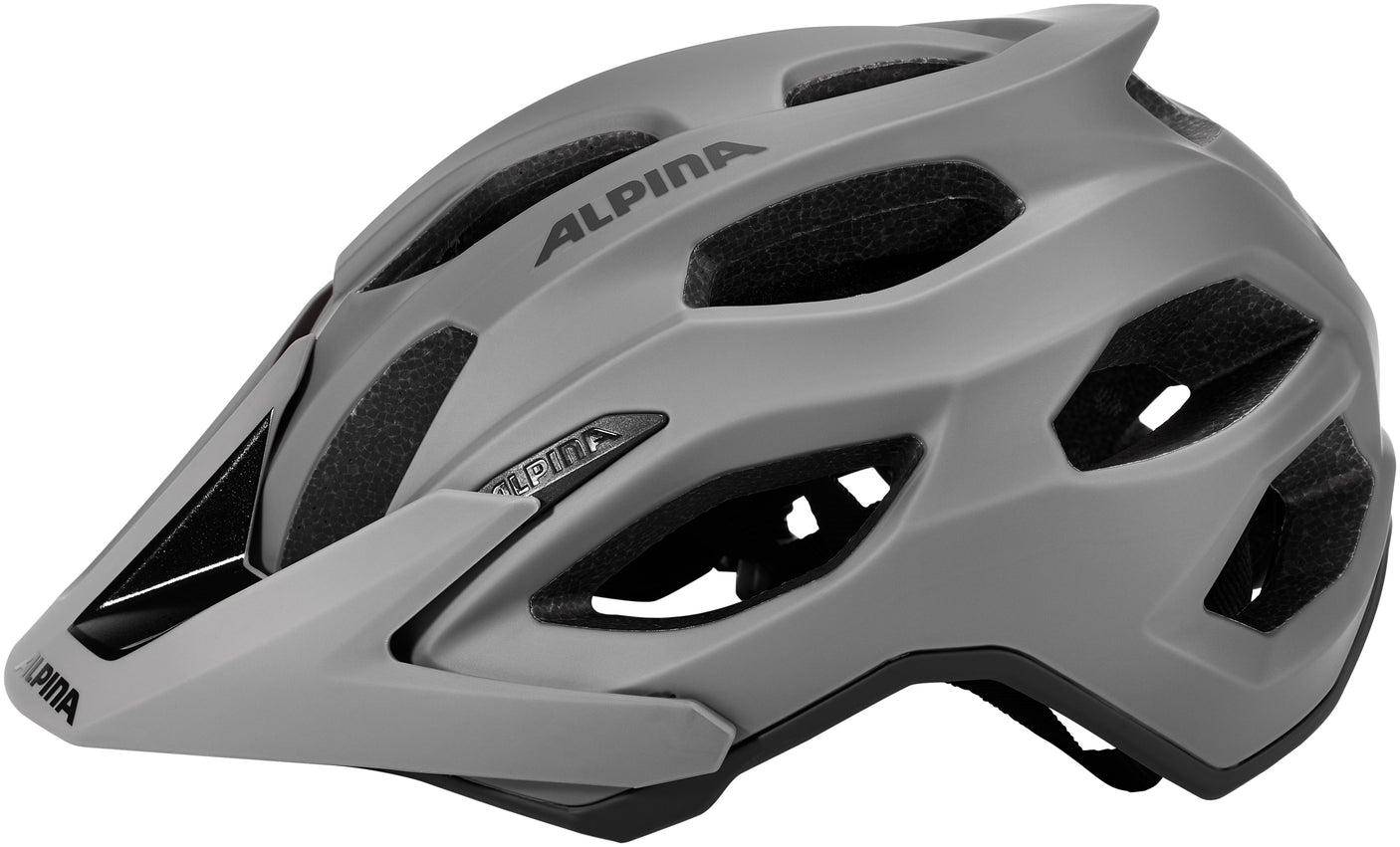 Alpina Carapax 2.0 Helm grau