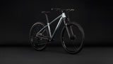 Cube Aim Pro  grey´n´black (2027)