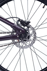 ACADEMY Pump 6 26" Plum (2026)