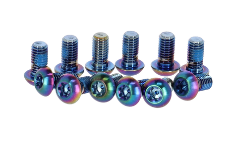 SRAM Titanium T25 Bremsscheiben Schraubenkit 12 Stück bunt