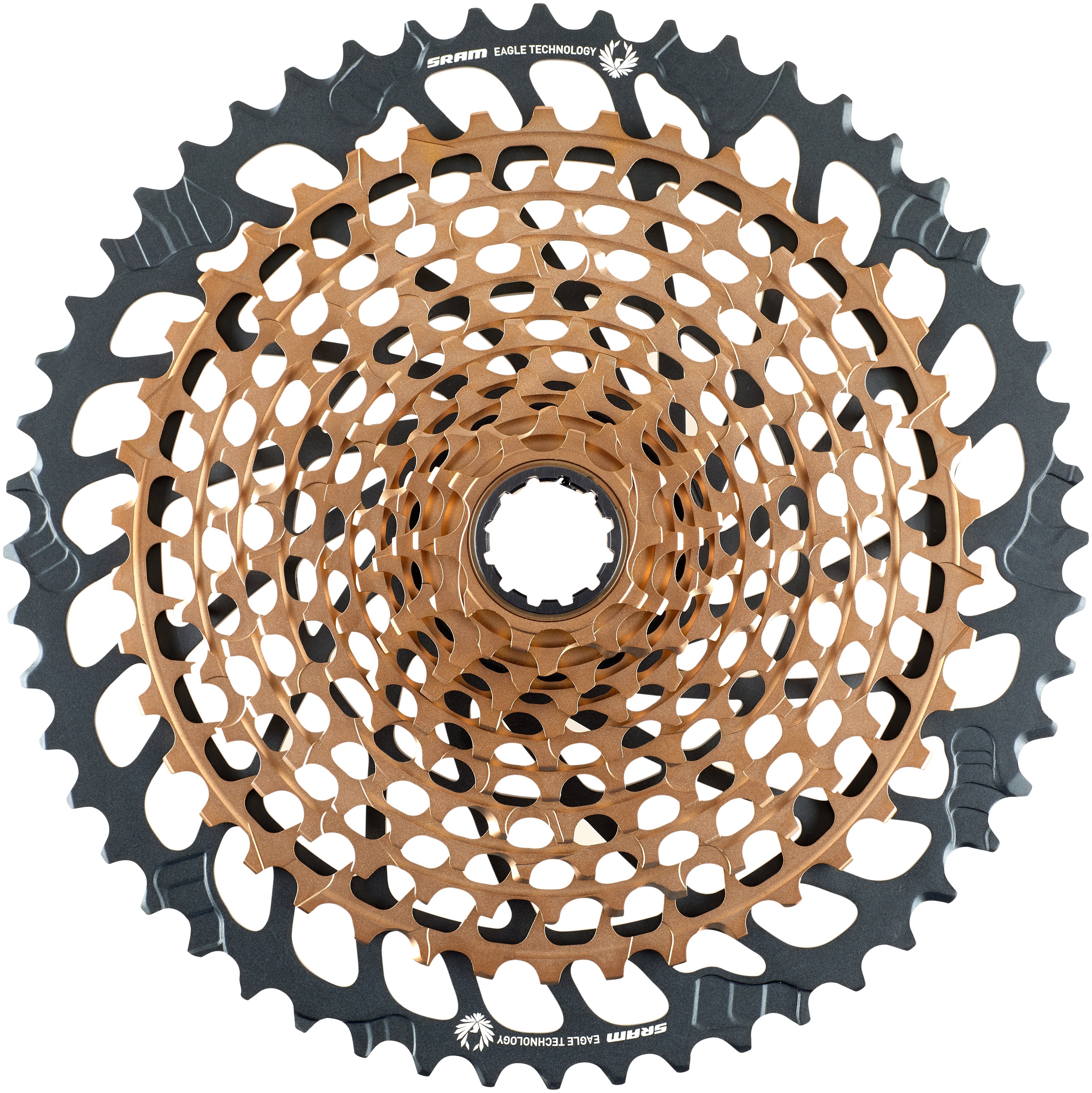 SRAM XG-1299 Eagle Kassette 12-fach braun