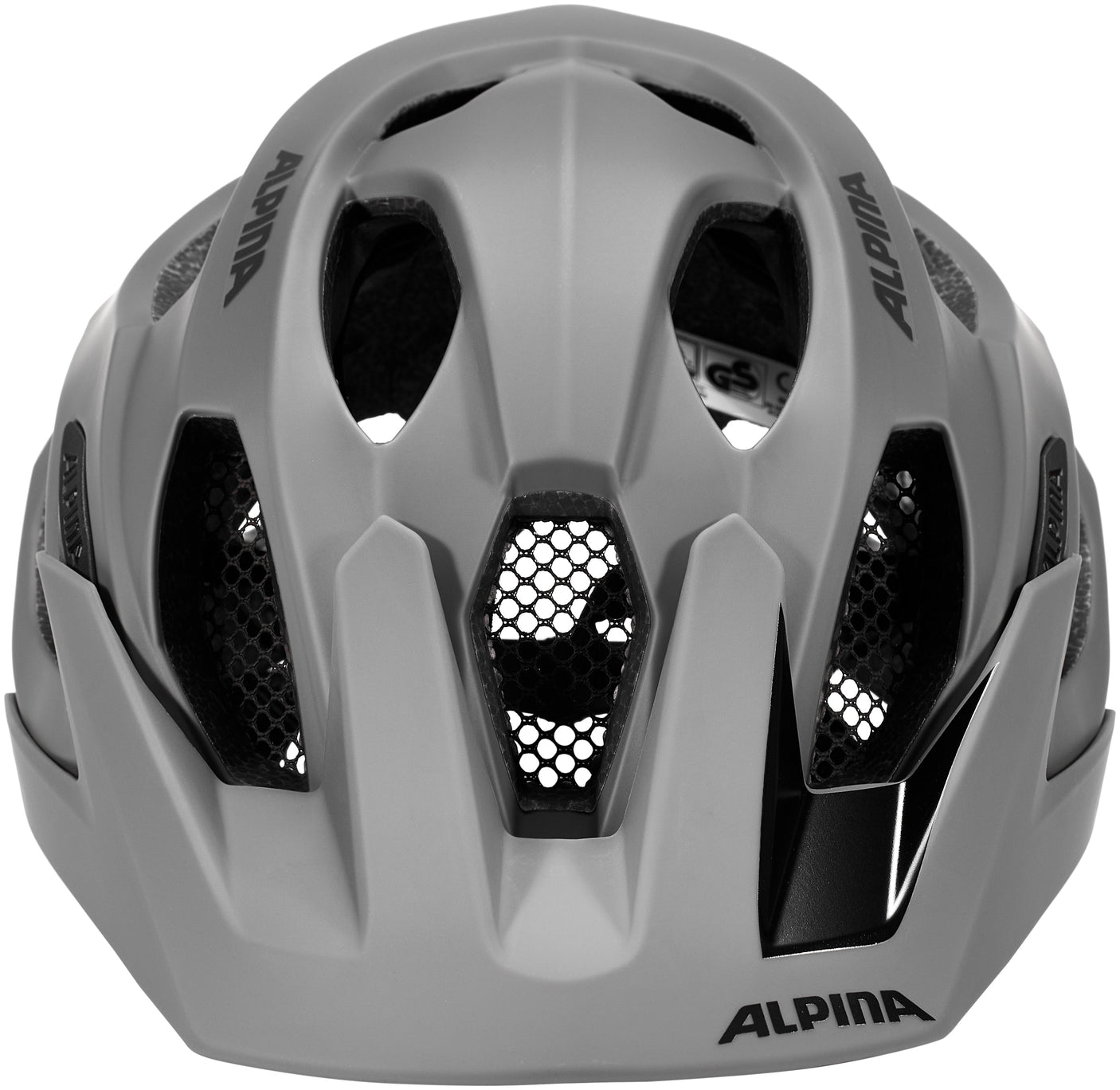 Alpina Carapax 2.0 Helm grau