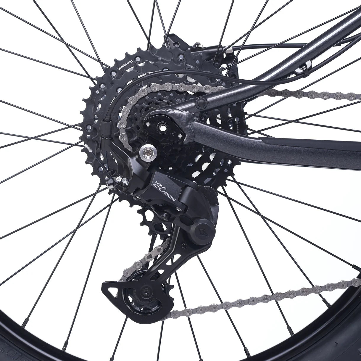 Academy Trail 4 Space