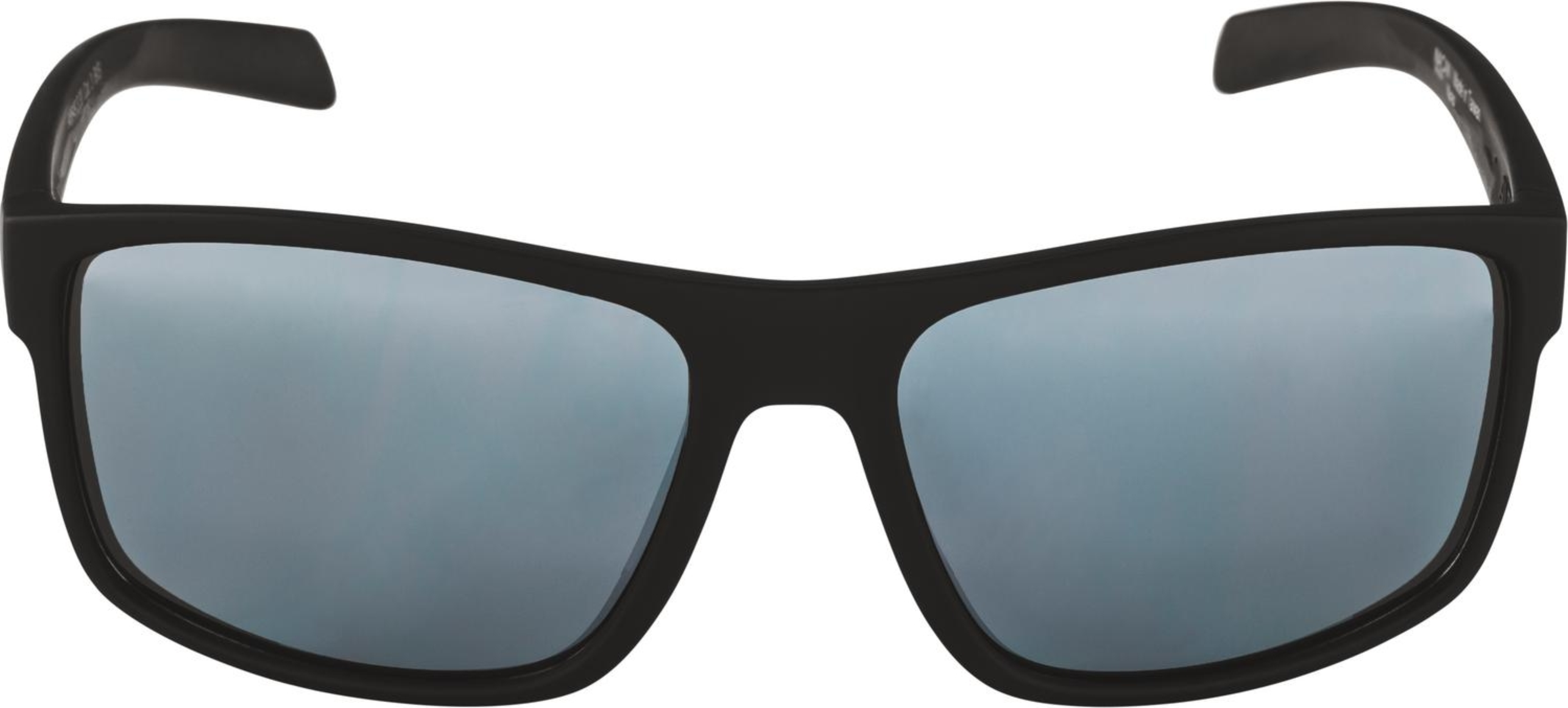 Alpina Nacan I Sonnenbrille schwarz