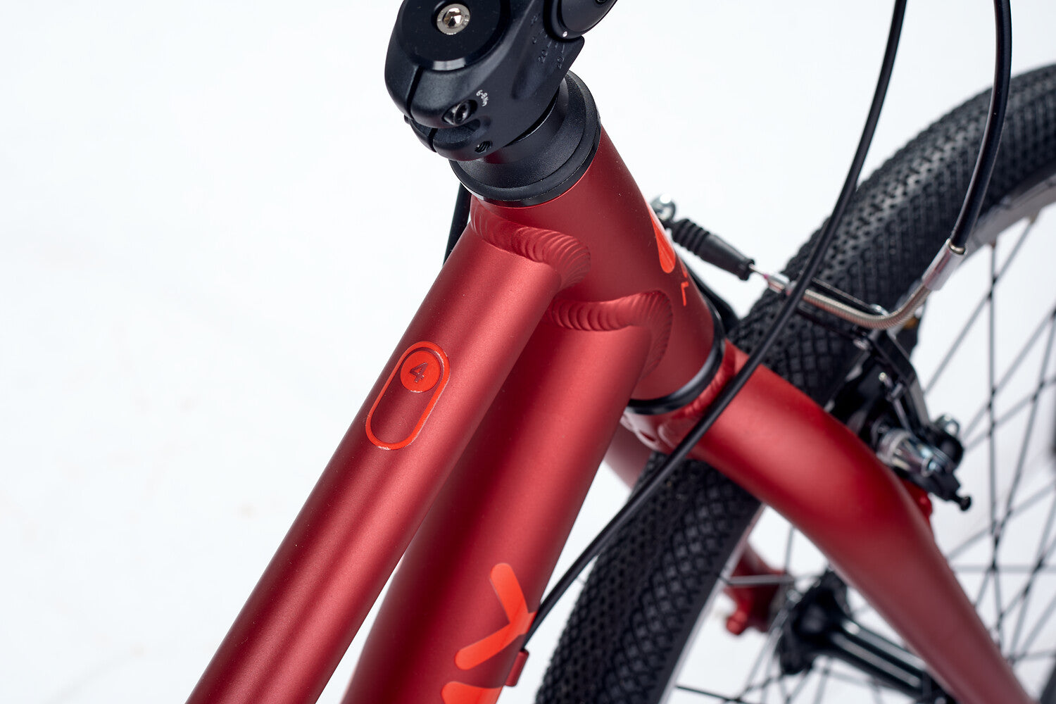 ACADEMY Grade 4 Belt 20