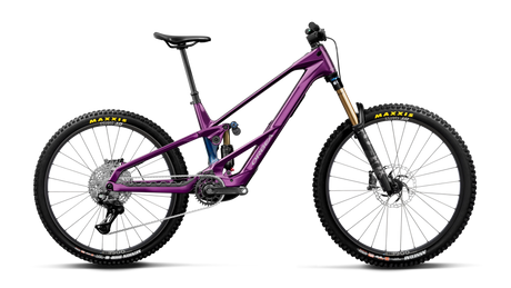Orbea WILD LT M10 MULLET Royal Plum-Noctiluca C.View (Gloss) (2027)