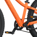 Scott Roxter 200 vibrant orange (2026)