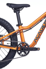 ACADEMY Trail 4 20" Amber (2026)