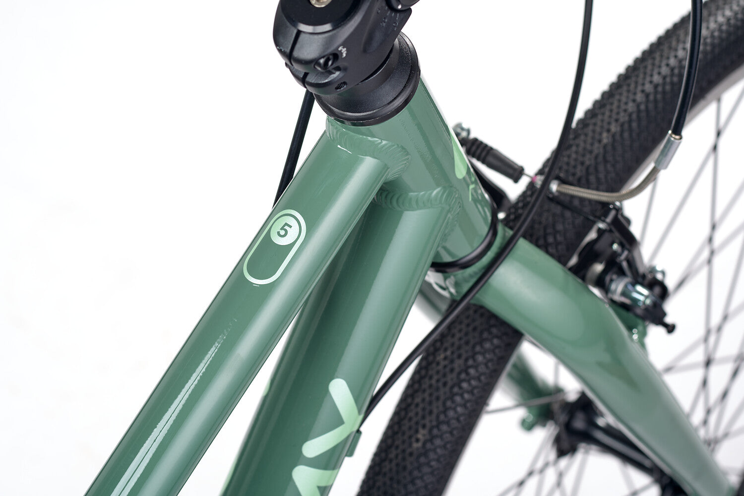 ACADEMY Grade 5 Belt 24