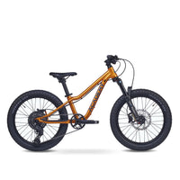 ACADEMY Academy Trail 4 (2025) | 20 Zoll Jugend-/Kinder-MTB | Amber – aktuelle Variante