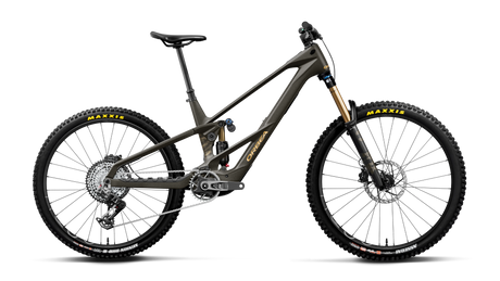 Orbea WILD LT M-TEAM RS MULLET Magic Gold C. View (Matt) - Titan Gold (Gloss) (2027)
