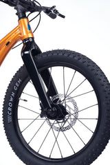 ACADEMY Trail 4 20" Amber (2026)