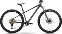 Raymon Nayta Ultra (2026) | 27,5/29 Zoll MTB Hardtail | anthracite/black – aktuelle Variante