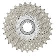 Campagnolo Super Record Kassette 12-fach 11-32 Zähne