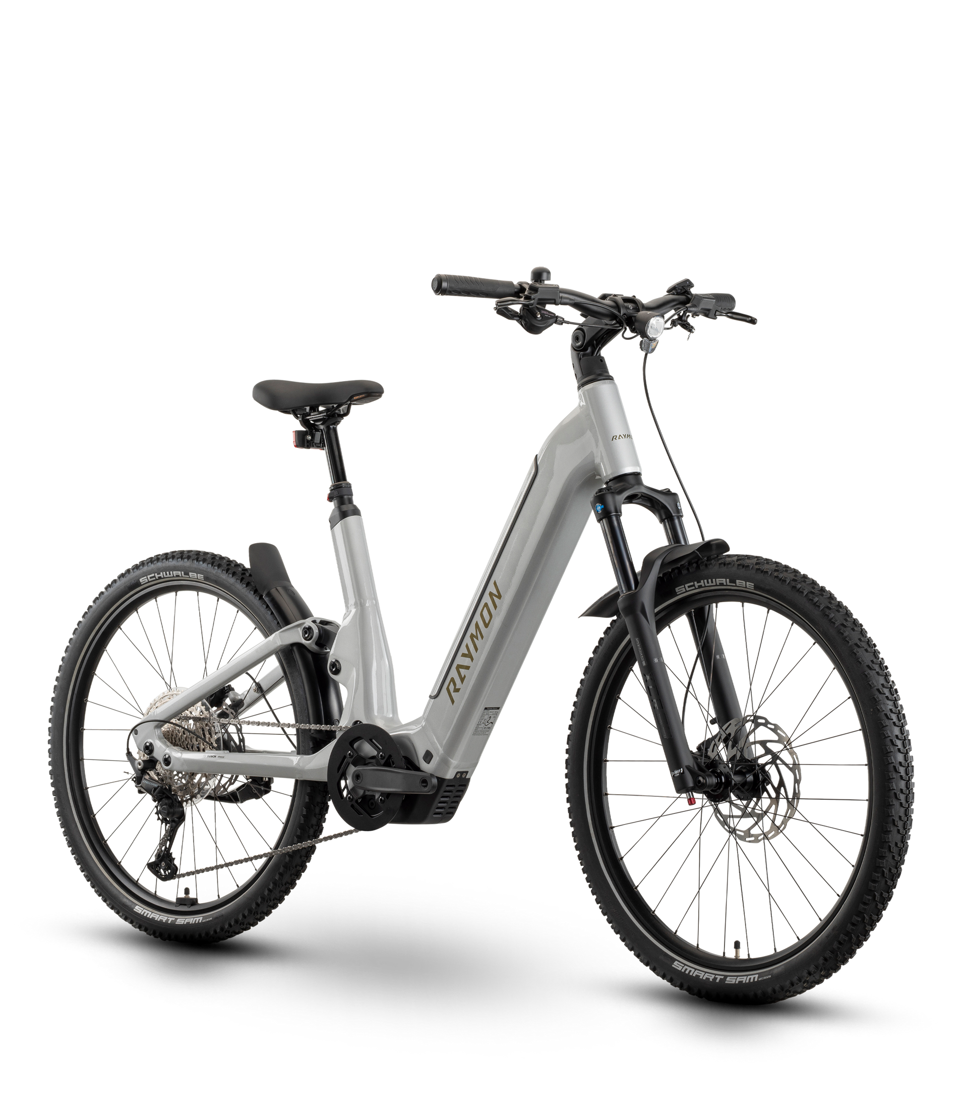 Raymon Tavano Sport 800 (2026) | Trekking E-Bike | silver/taupe