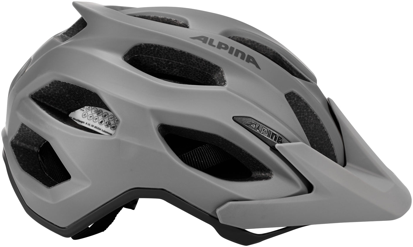 Alpina Carapax 2.0 Helm grau