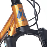 Academy Trail 5 Amber