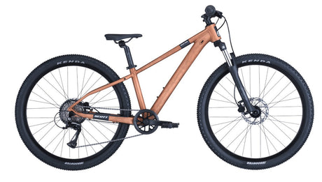 Scott Roxter 600 alloy brown (2025)