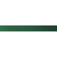 Ergon BT Allroad Wilderness Green – aktuelle Variante