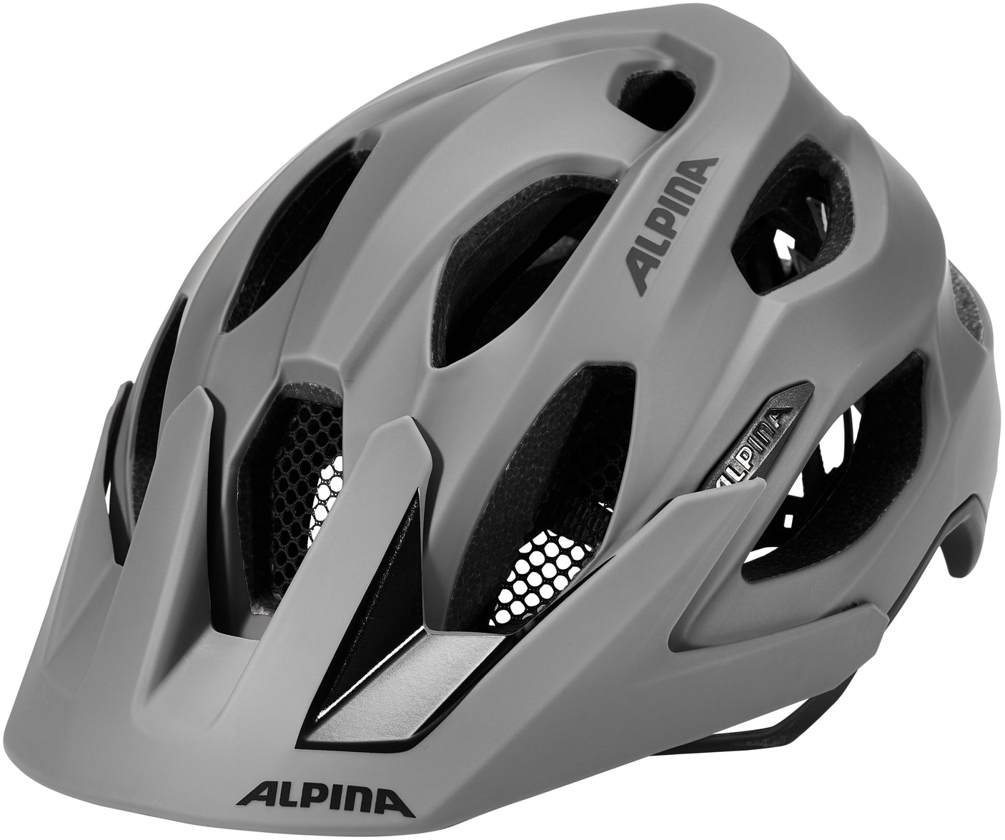 Alpina Carapax 2.0 Helm grau