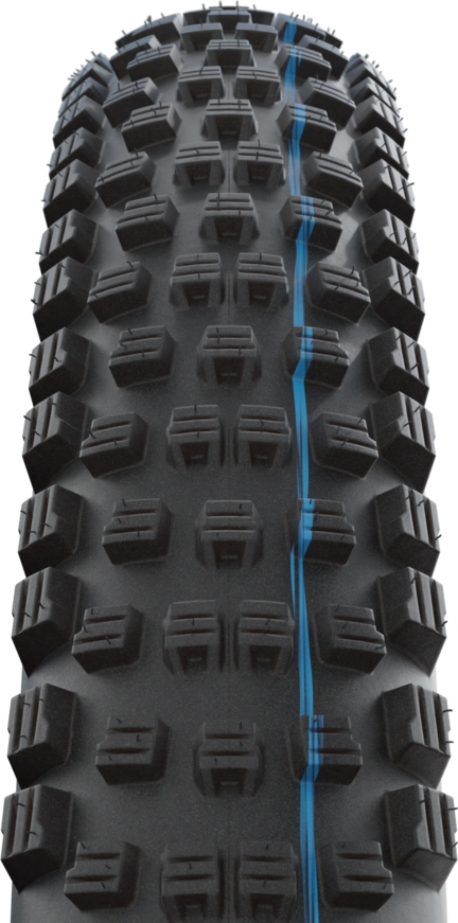 Schwalbe Wicked Will | Evolution Line | Super Ground 29