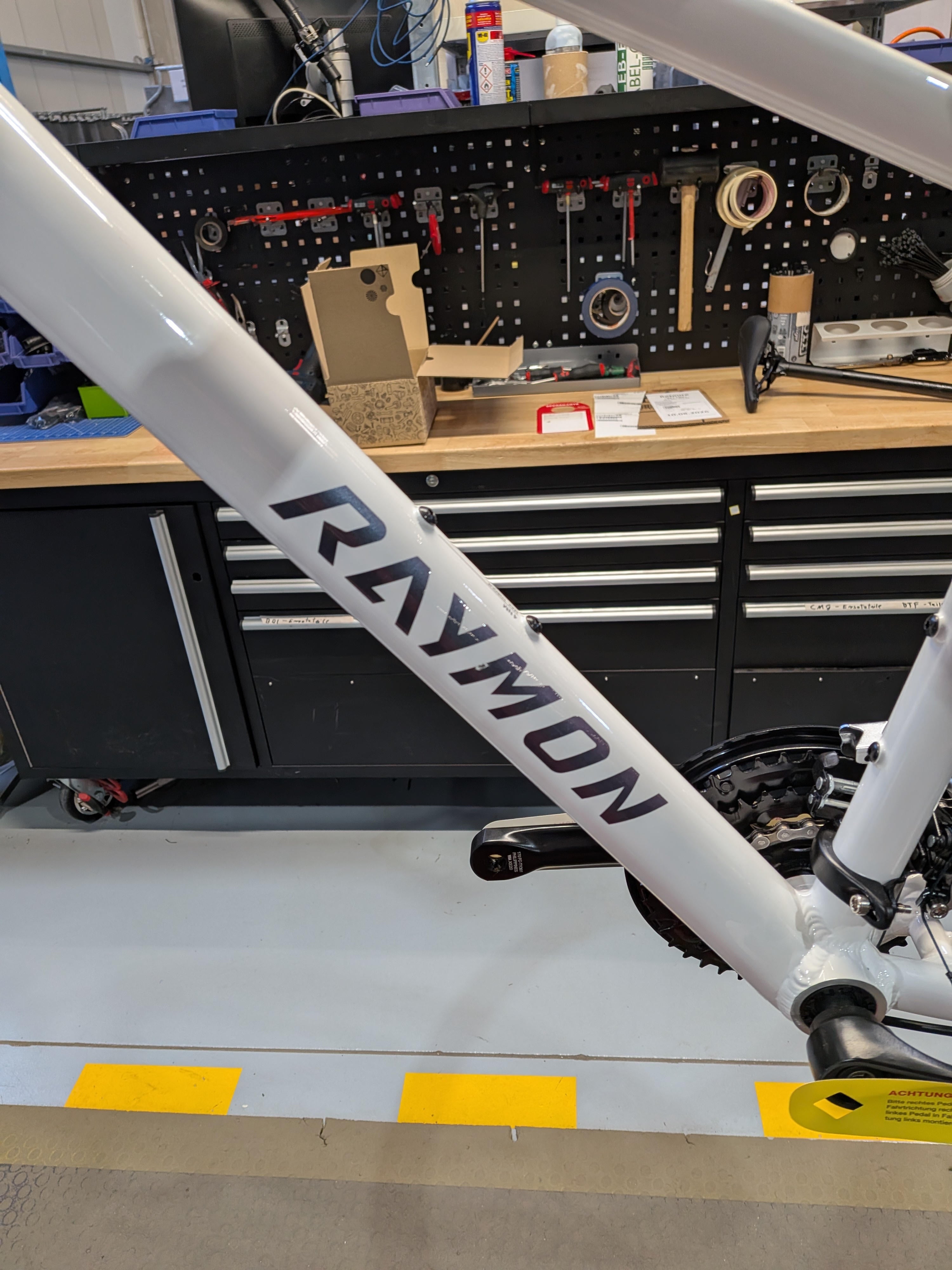 B-Ware: Raymon Nayta white/chameleon (2026)