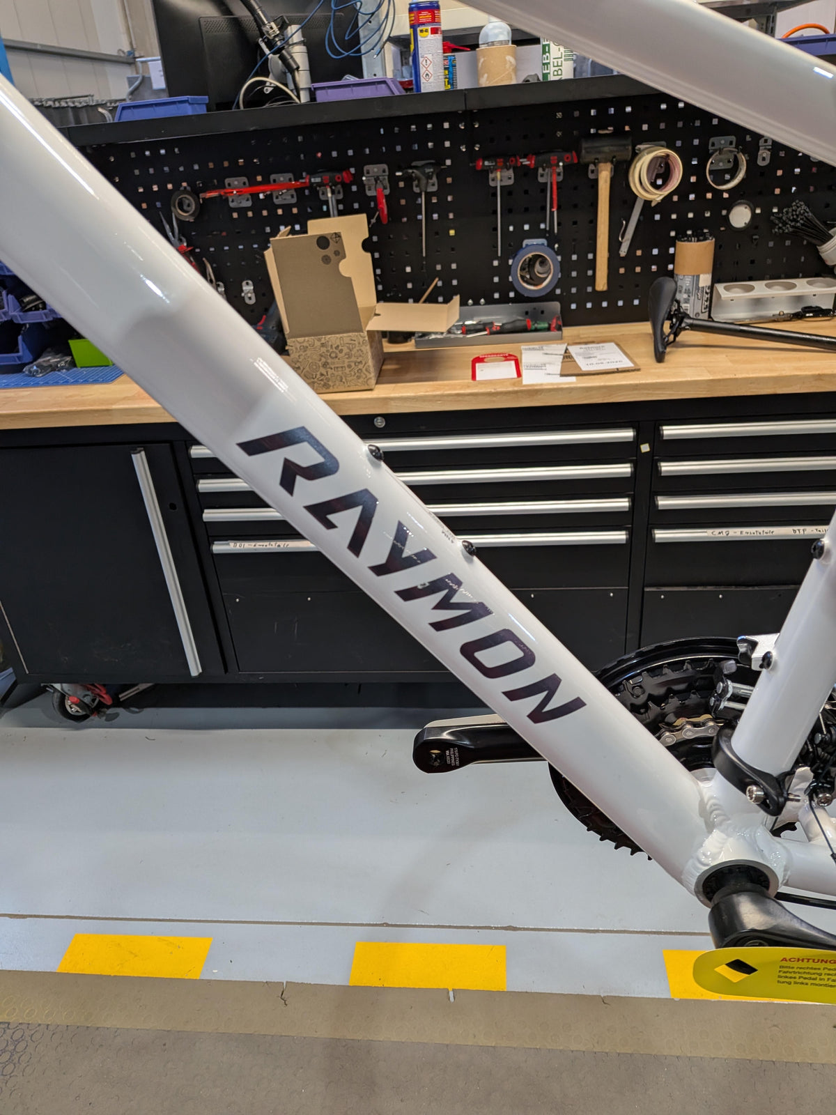 B-Ware: Raymon Nayta white/chameleon (2026)