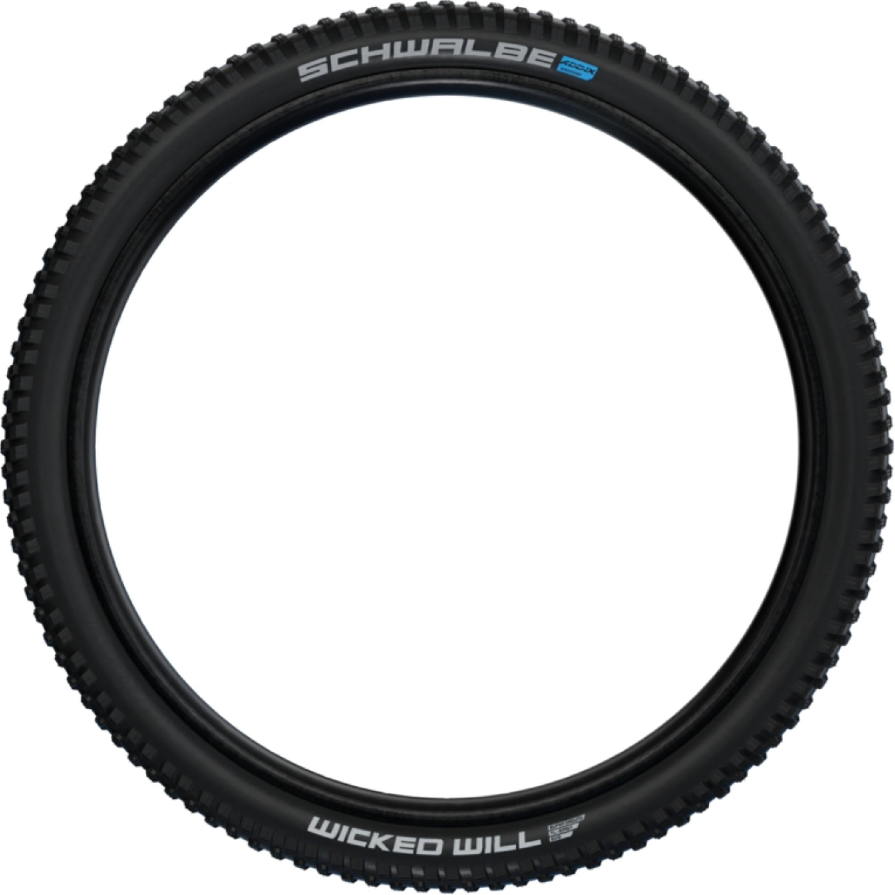Schwalbe Wicked Will | Evolution Line | Super Ground 29