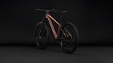 Cube Aim SLX  rustyrose´n´peach (2027)