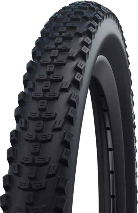 Schwalbe Smart Sam Performance Addix E-25 Black