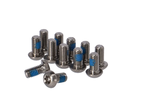 SRAM Titanium T25 Bremsscheiben Schraubenkit 12 Stück silber
