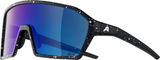 Alpina Ram Q-Lite Brille schwarz