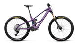 Orbea WILD LT M10 Royal Plum-Noctiluca C.View (Gloss) (2027)