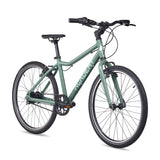 Academy GRADE 5 belt Olive