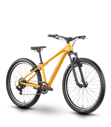 Raymon Nayta 26 Comp kurkuma (2026)