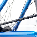 Academy GRADE 6 belt Blue